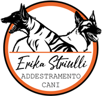 Erika Striulli
