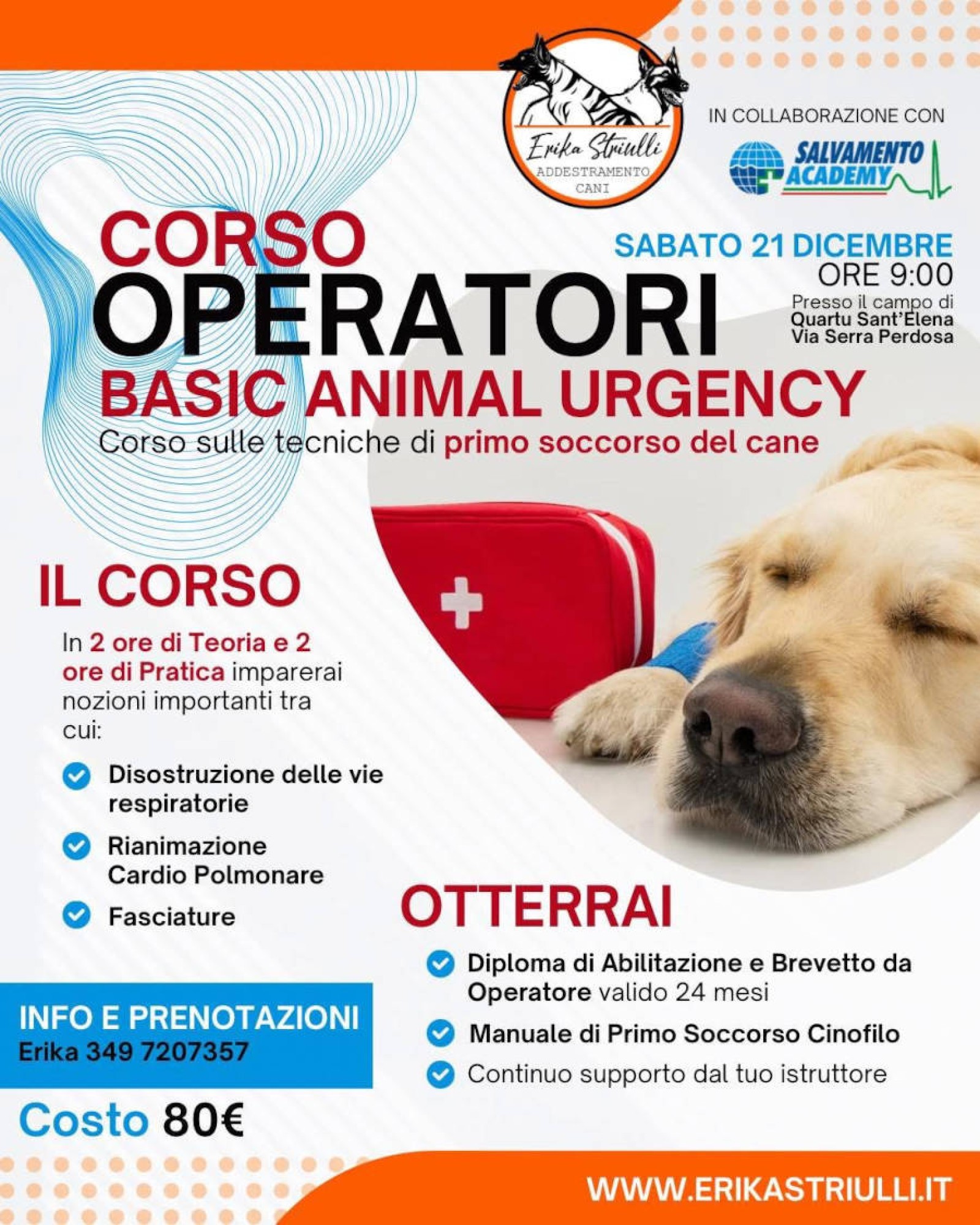 BASIC ANIMAL URGENCY